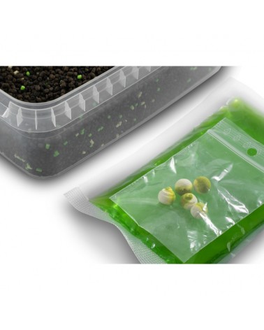 Pellet Box Delphin Reaxe READY&GO Czosnek- Kwas Masłowy 400g+ Booster 120ml+ 10mm Wafters 5szt.