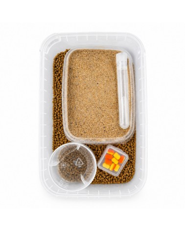 Eggstream Osmo Zestaw Method Feeder Box Start Turbo 4w1 Pellet Zanęta Booster Wafters
