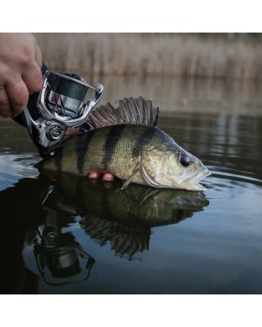 Kołowrotek Spinningowy Shimano Stradic FM C3000 5.1:1