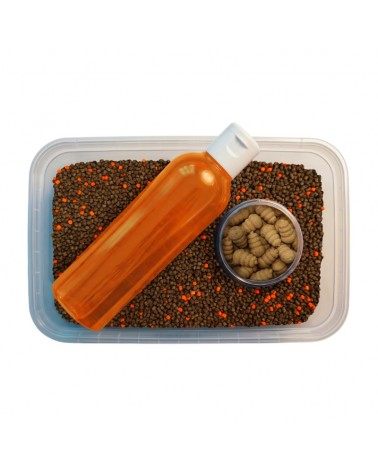 Multipack Box Feeder Bait Orzech Tygrysi 3w1 Liquid 150ml Waftersy 25ml Pellet 450g