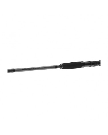 Wędka Sumowa Daiwa Powermesh Catfish Spin 2.40m 185g 2cz.