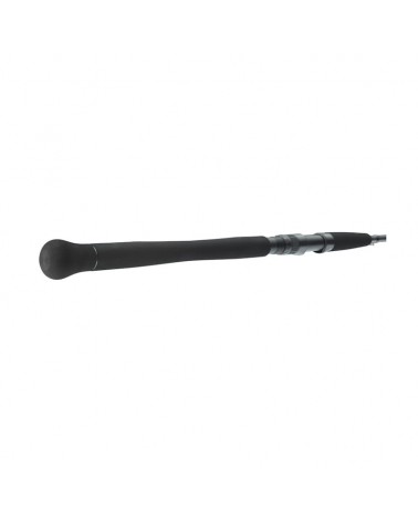 Wędka Sumowa Daiwa Powermesh Catfish Spin 2.40m 185g 2cz.