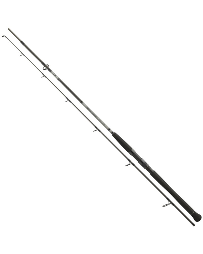 Wędka Sumowa Daiwa Powermesh Catfish Spin 2.40m 185g 2cz.