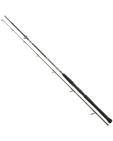 Wędka Sumowa Daiwa Powermesh Catfish Spin 2.40m 185g 2cz.