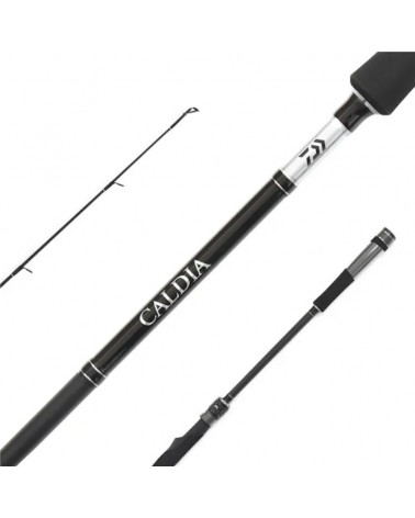 Wędka Spinningowa Daiwa Caldia Spin 2.70m 7-28g Jigger 2cz.