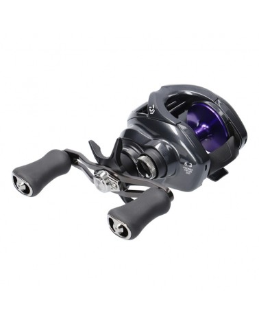 Multiplikator Daiwa 26 Prorex TW HD 200L