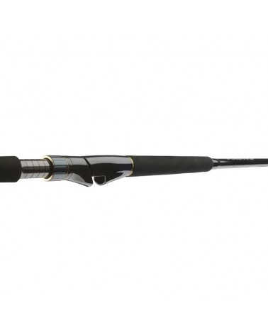 Wędka Morska Daiwa Saltiga Light Game 2.40m 8ft 40-110g 1+1cz.