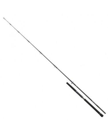 Wędka Morska Daiwa Saltiga Light Game 2.40m 8ft 40-110g 1+1cz.