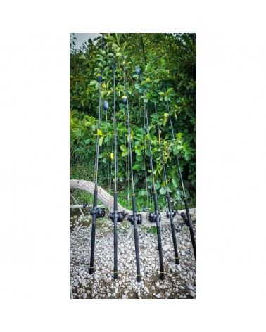 Wędka Black cat Black Passion Long Ranger 3.30m 600g