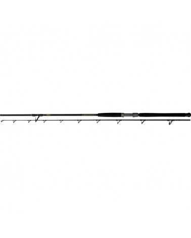 Wędka Black Cat Solid Bank 2.90m 100-500g