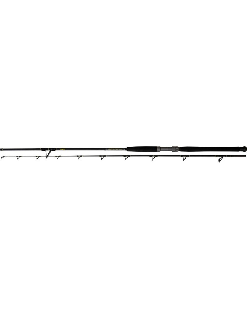 Wędka Black Cat Solid Bank 2.90m 100-500g