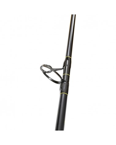 Wędka Black Cat Solid Bank 2.90m 100-500g