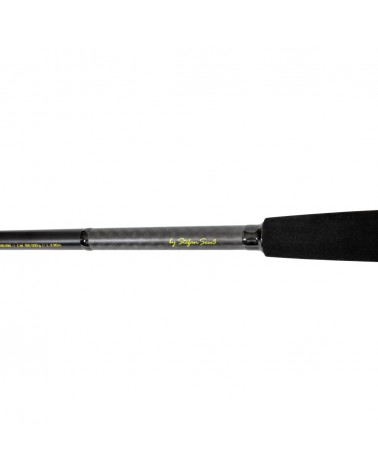 Wędka Black Cat Solid Bank 2.90m 100-500g