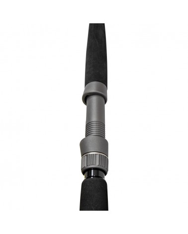 Wędka Black Cat Solid Bank 2.90m 100-500g
