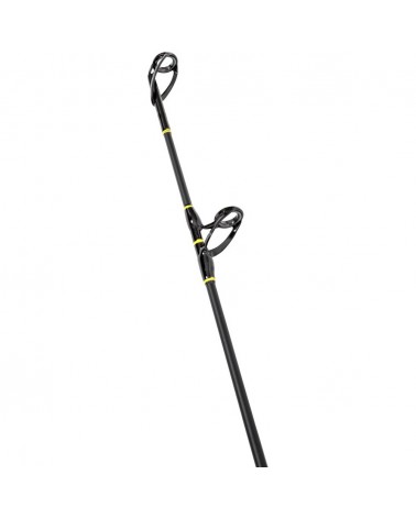 Wędka Black Cat Solid Bank 2.90m 100-500g