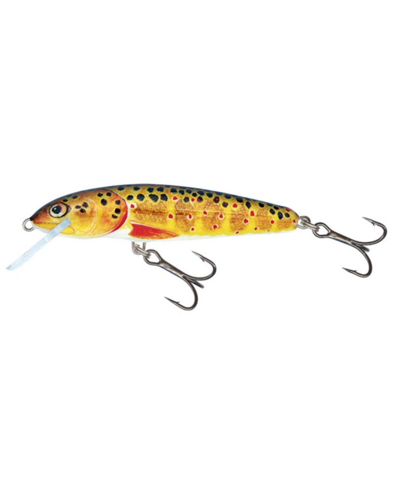 Wobler Salmo Minnow Trout 5cm 3g floating
