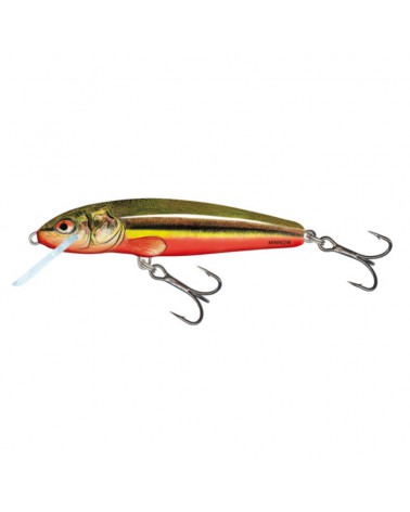 Wobler Salmo Minnow Rainbow Dace 5cm 3g floating