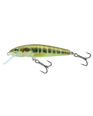 Wobler Salmo Minnow Minnow 5cm 3g floating