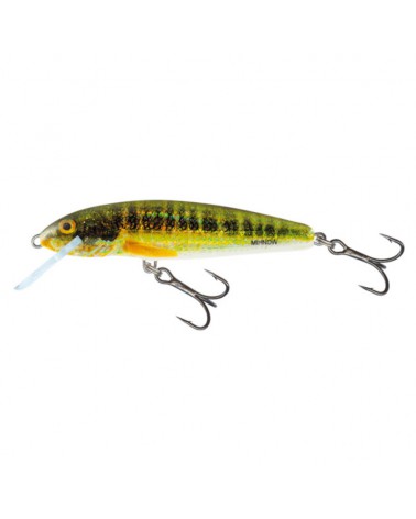 Wobler Salmo Minnow Holo Real Minnow 7cm 6g floating/pływający