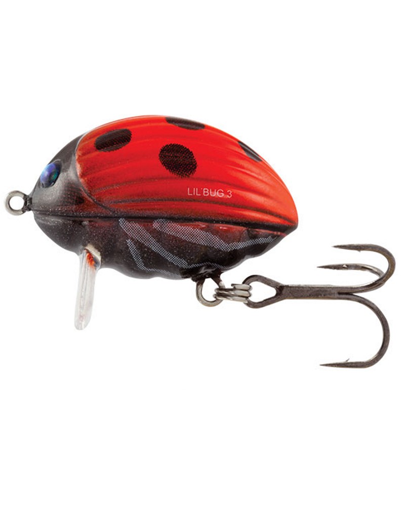Wobler Salmo Lil'Bug Ladybird 3cm 4.3g floating/pływający