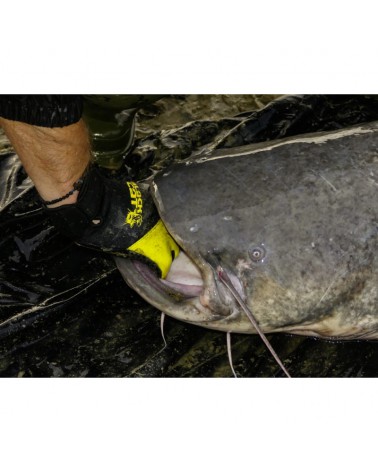 Rękawice Black Cat Catfish Glove