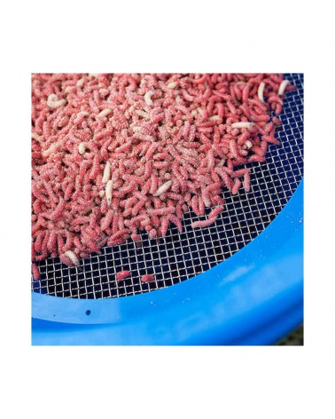 Sito Plastikowe 4mm Preston Riddle Na Wiadro 18L