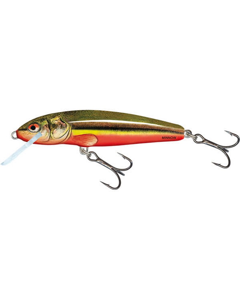 Wobler Salmo Minnow 6cm 4g Rainbow Dace floating
