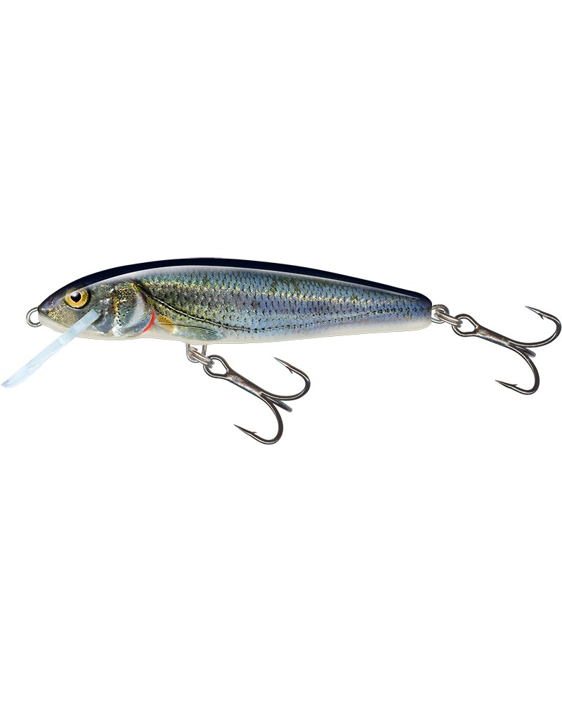 Wobler Salmo Minnow 6cm 4g Spirlin 0.5-1m floating/pływający
