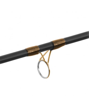 Wędka Delphin Rewir Picker + 3 Szczytówki 300cm 60g 2cz.