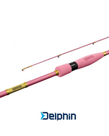 Wędka Delphin Queen Spin 240cm 10-30g 2cz.