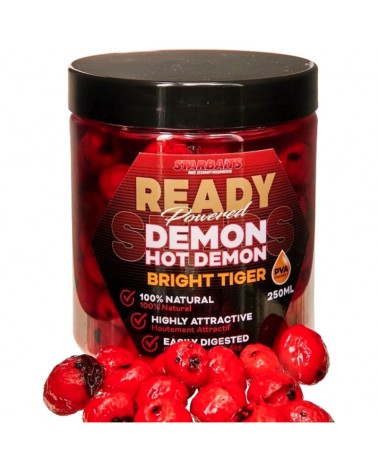 Orzech Tygrysi Haczykowy Starbaits Ready Bright Tiger Demon 250ml