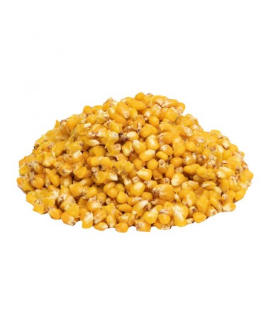 Ziarno Carp Target Gotowa Kukurydza Zanętowa Truskawka 12kg(4x3kg) Wiadro 17l