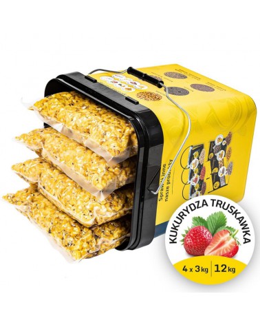 Ziarno Carp Target Gotowa Kukurydza Zanętowa Truskawka 12kg(4x3kg) Wiadro 17l