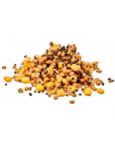 Ziarna Zanętowe Starbaits Ready Seeds Hot Demon Spod Mix 1kg