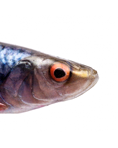Guma Savage Gear 4D Herring Shad 9cm 5g Golden Ambulance