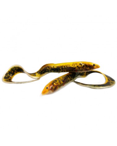 Guma Real Eel Savage Gear  20cm 27g Lamprey PHP