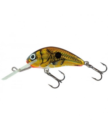 Wobler Salmo Hornet 5cm 7g UV Gold Shiner 2-4.6m floating/pływający