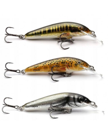 Zestaw Woblerów Na Pstrąga Salmo Trout Pack
