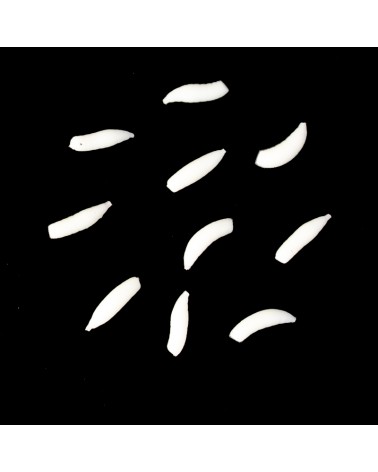 Sztuczna Przynęta Undercarp Biały Robak Maggot Pływający 10szt.