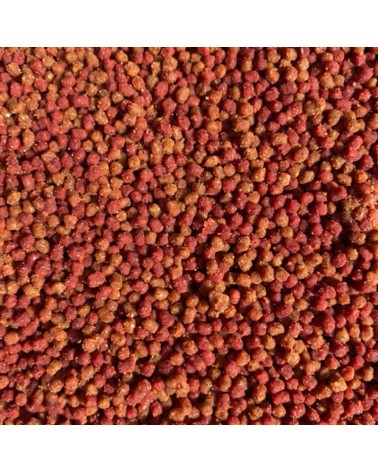 Pellet Feeder Bait Method Ready Gotowy W Wiaderku Czosnek & Śliwka 2mm 600g