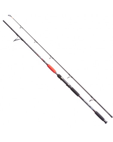 Wędka Sumowa Jaxon Catfish E Spin & Troll 2.40m Up To 160g