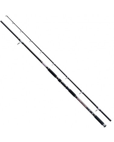 Wędka Sumowa Jaxon Zaffira Catfish RT 3.00 Up To 550g