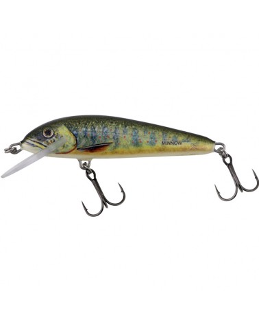 Wobler Salmo Minnow Lake Charr 5cm 5g 0.8-1.5m Sinking Tonący