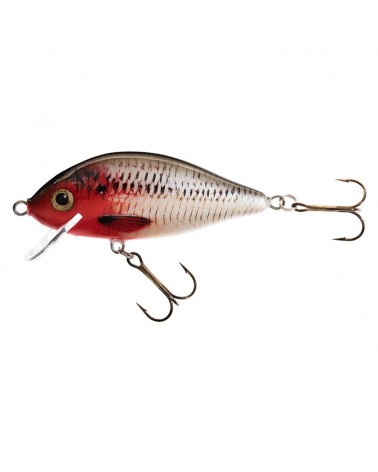 Wobler Jaxon Holo Select Karaś 8cm 14g RB 0.4-2.2m Pływający