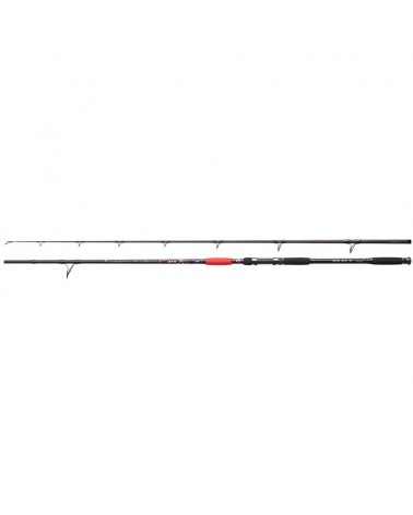 Jaxon Wędka Sumowa Catfish E Heavy Max 3.15m Up To 550g 2cz