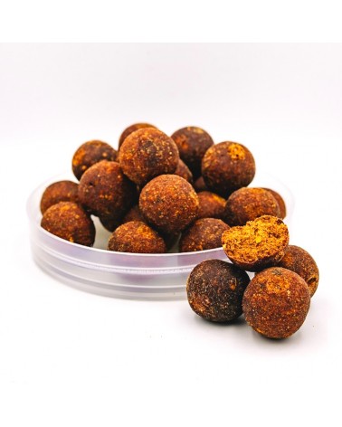 Kulki Haczykowe Massive Baits Hookerz Bolsena Squid Kałamarnica 22mm 300ml