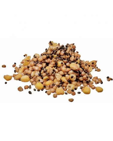 Ziarna Zanętowe Do PVA Starbaits Ready Seeds SK30 Spod Mix Mieszanka 1kg