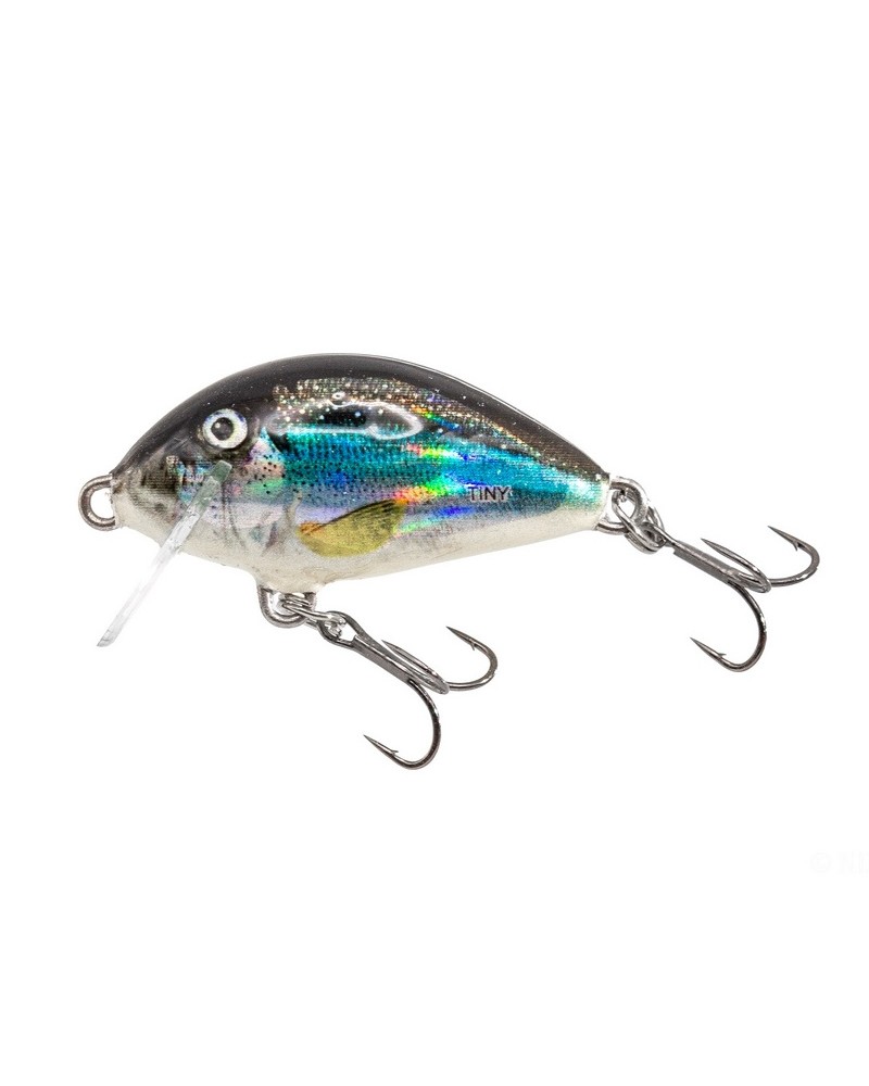 Wobler Salmo Tiny Holo Smelt 3cm 2.5g 0.5m Sinking Tonący