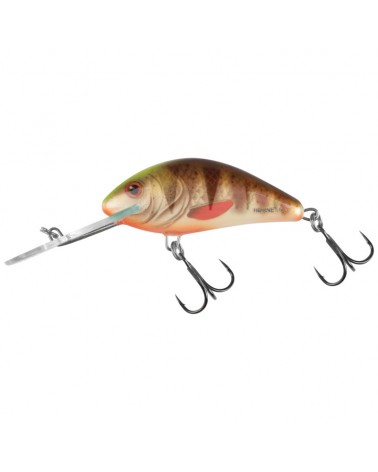 Wobler Salmo Hornet 6cm 10g Spotted Brown Perch Floating Pływający