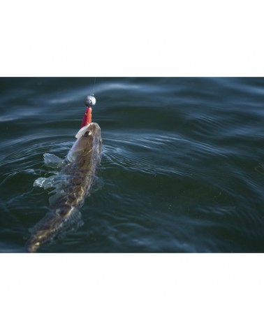 Guma Fox Rage Slick Shad